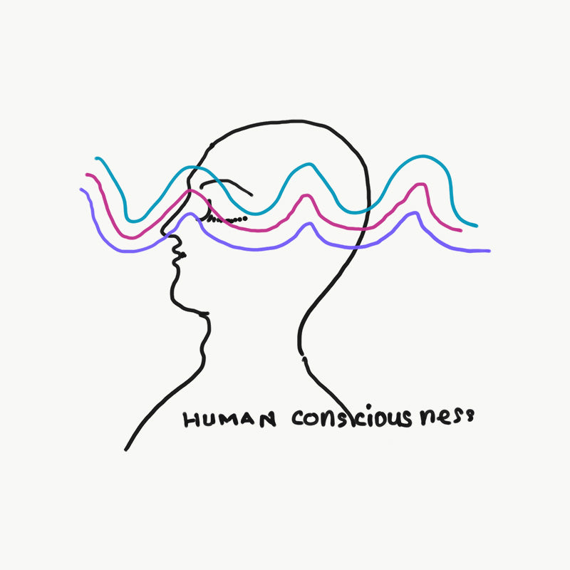 Siddhis and Human Potential: A Holistic View