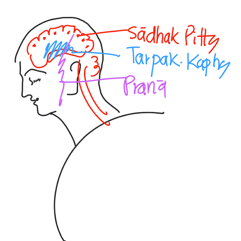 The Loving Self - Emotional Healing