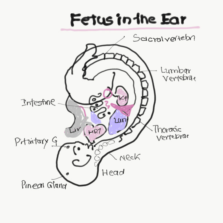 Decode Your Health: Face and Ear Reading (Online)