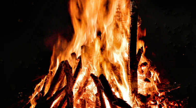 The Fire Within: Gut Health Simplified