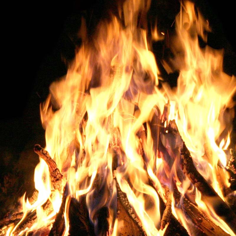 The Fire Within: Gut Health Simplified