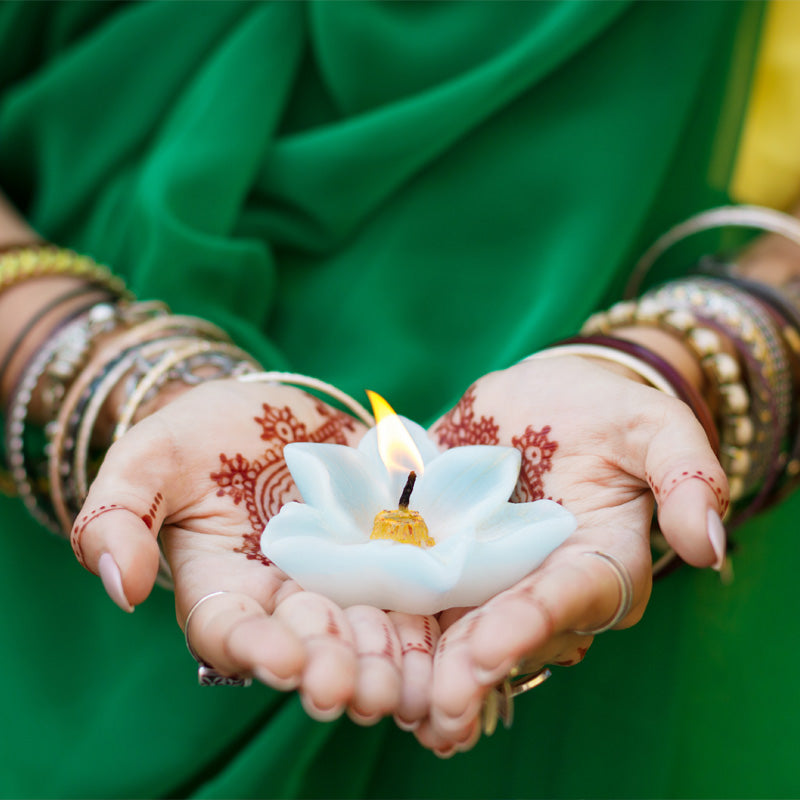 Basics of Ayurveda - Webinar