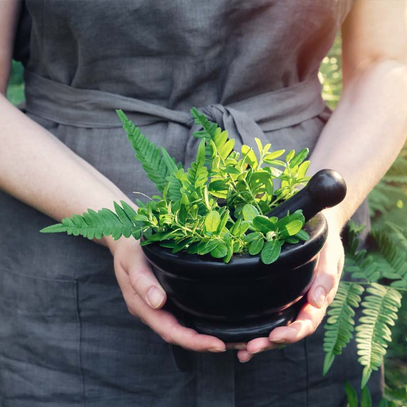 Discover the Power of Herbs and Transform Your Health