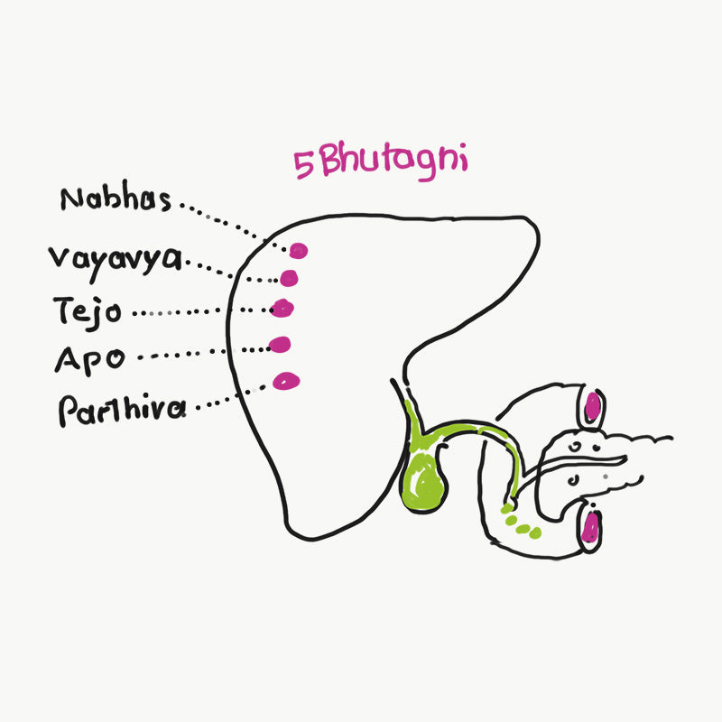 Unburden Yourself: Transform Anger for Liver Health