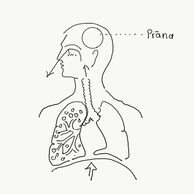 Move Your Breath Through Stagnation: A Pranayama Immersion