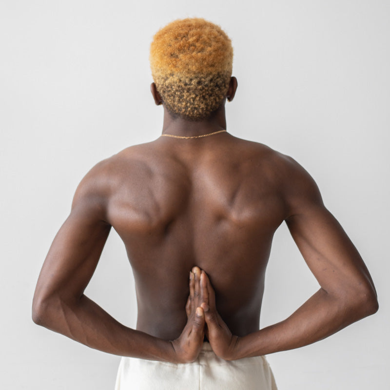 Mamsa Vaha Srotas - The Channel of the Muscle