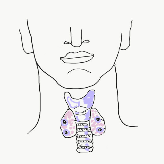 Let Go: Release Guilt for Thyroid Health