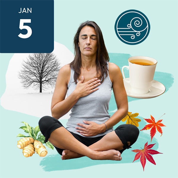 Vata Home Cleanse 2026